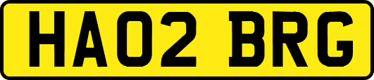 HA02BRG