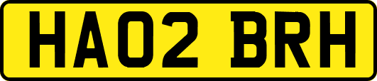 HA02BRH