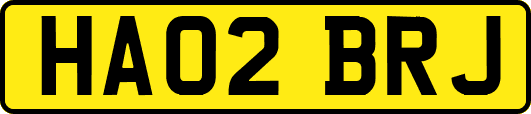 HA02BRJ