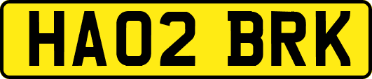 HA02BRK