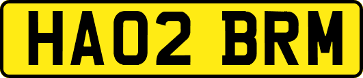HA02BRM