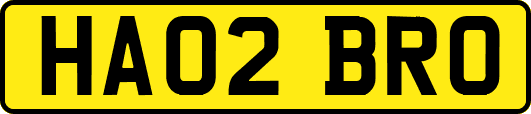 HA02BRO