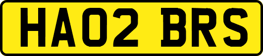 HA02BRS