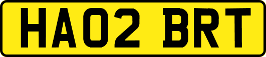 HA02BRT