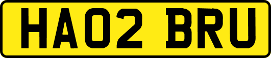 HA02BRU
