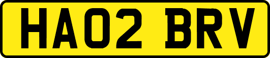 HA02BRV