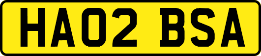 HA02BSA