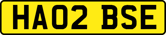 HA02BSE