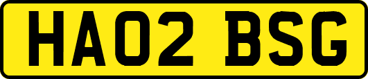 HA02BSG