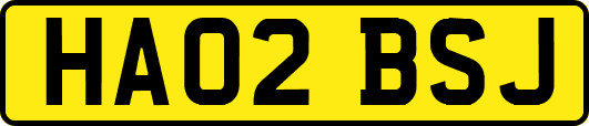 HA02BSJ