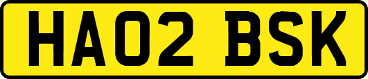 HA02BSK
