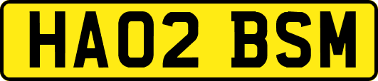 HA02BSM