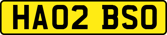 HA02BSO