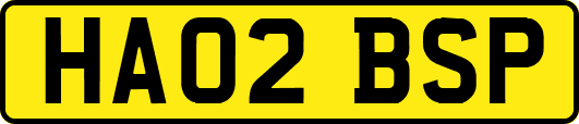 HA02BSP