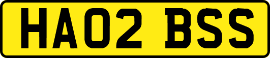 HA02BSS