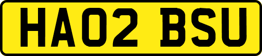HA02BSU