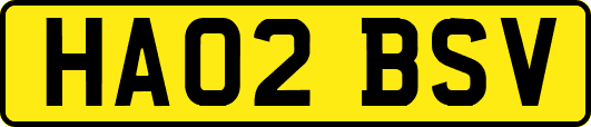 HA02BSV