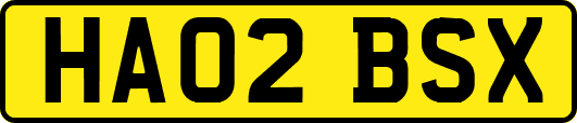 HA02BSX