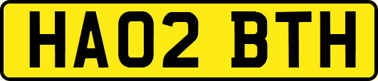 HA02BTH