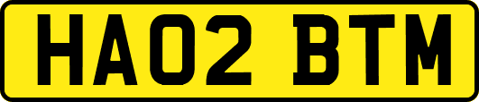 HA02BTM