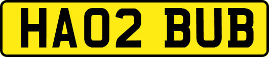 HA02BUB