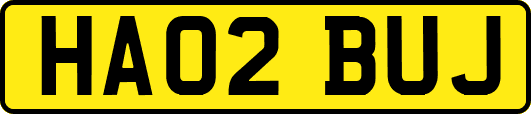 HA02BUJ
