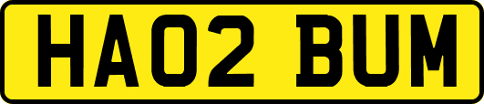 HA02BUM