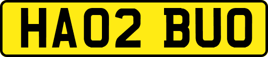 HA02BUO