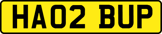 HA02BUP