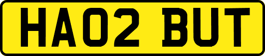 HA02BUT