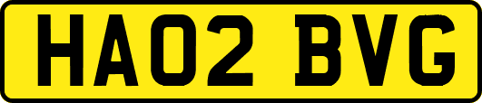 HA02BVG
