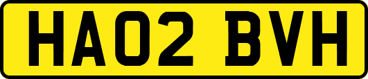 HA02BVH