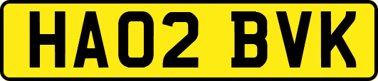 HA02BVK