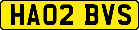 HA02BVS