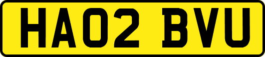 HA02BVU