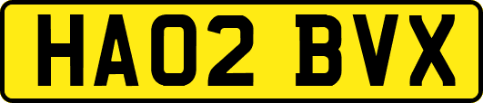 HA02BVX