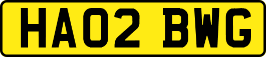 HA02BWG
