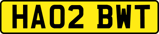 HA02BWT