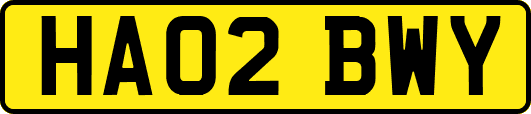 HA02BWY