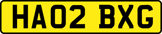 HA02BXG