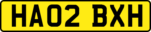 HA02BXH