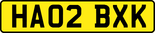 HA02BXK