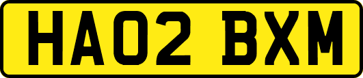 HA02BXM