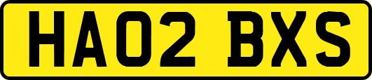 HA02BXS