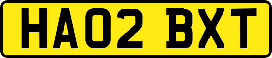 HA02BXT