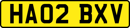 HA02BXV
