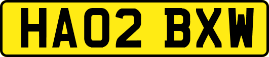 HA02BXW