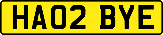 HA02BYE