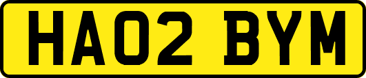 HA02BYM