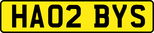 HA02BYS
